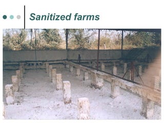 Sanitized farms 