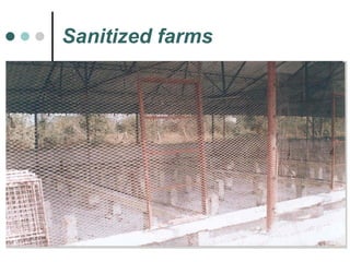 Sanitized farms 