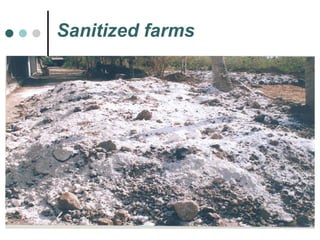 Sanitized farms 