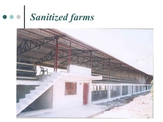 Sanitized farms 
