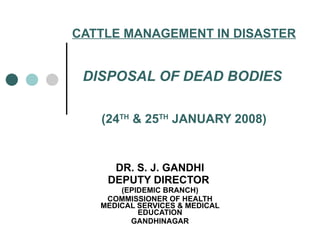 CATTLE MANAGEMENT IN DISASTER DISPOSAL OF DEAD BODIES   (24 TH  & 25 TH  JANUARY 2008) DR. S. J. GANDHI DEPUTY DIRECTOR  (EPIDEMIC BRANCH) COMMISSIONER OF HEALTH MEDICAL SERVICES & MEDICAL EDUCATION GANDHINAGAR 