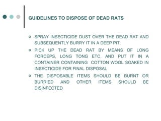 GUIDELINES TO DISPOSE OF DEAD RATS <ul><li>SPRAY INSECTICIDE DUST OVER THE DEAD RAT AND SUBSEQUENTLY BURRY IT IN A DEEP PI...