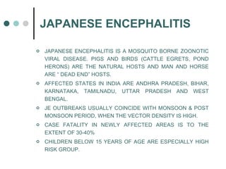 JAPANESE ENCEPHALITIS  <ul><li>JAPANESE ENCEPHALITIS IS A MOSQUITO BORNE ZOONOTIC VIRAL DISEASE. PIGS AND BIRDS (CATTLE EG...