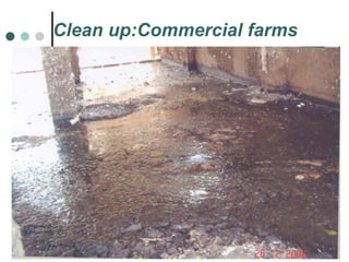 Clean up:Commercial farms 