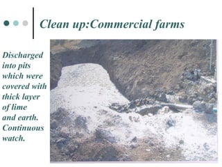 Discharged  into pits  which were  covered with thick layer  of lime  and earth.  Continuous watch. Clean up:Commercial fa...