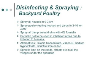 Disinfecting & Spraying  :   Backyard Poultry <ul><li>Spray all houses in 0-3 km  </li></ul><ul><li>Spray poultry rearing ...
