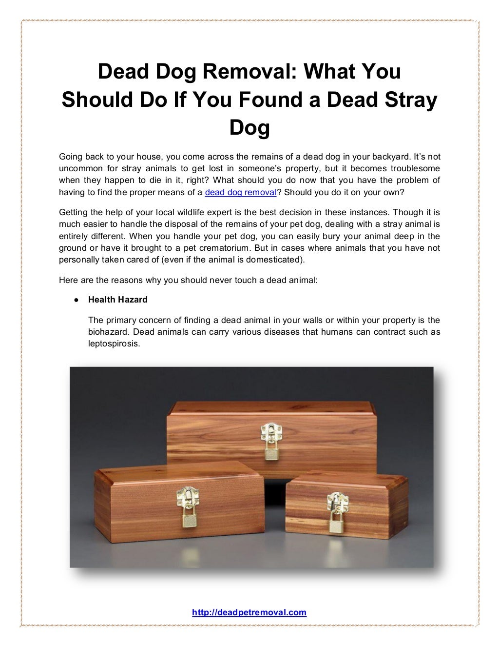 Dead Dog Removal What You Should Ddo If You Found a Dead Stray Dog