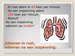Ademen in rust,  ademen na een inspanning. In rust adem ik  60  keer per minuut. Na een inspanning adem 100  keer per minuut. Besluit! Na een inspanning  ademen we  sneller ! 