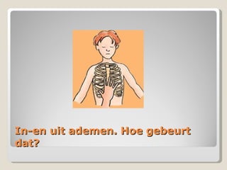 In-en uit ademen. Hoe gebeurt dat? 