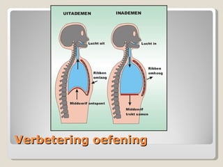 Verbetering oefening 