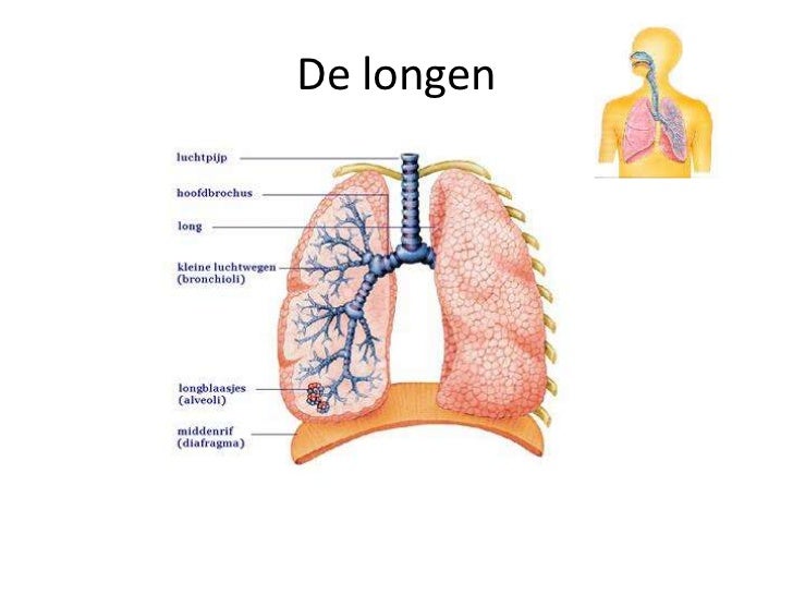 Longen