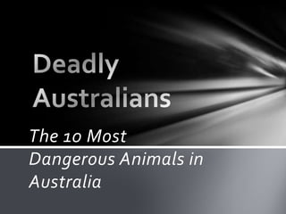 The 10 Most
Dangerous Animals in
Australia
 
