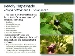 Deadly Nightshade
Atropa belladonna L., Solanaceae
• It was used in traditional treatments
for centuries for an assortment of
conditions including
▫ Headache
▫ Menstrual symptoms
▫ Peptic ulcer disease
▫ Inflammation
▫ Motion sickness
▫ Mydriatic (pupil dilator)
• Plant occasionally used as a
recreational drug because of the vivid
hallucinations and delirium that it
produces.
▫ Unpleasant hallucinations. Recreational use is
considered extremely dangerous because of the
high risk of unintentional fatal overdose.
▫ The CNS effects of atropine include memory
disruption, which may lead to severe confusion
 