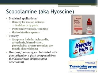 Scopolamine (aka Hyoscine)
• Medicinal applications:
▫ Remedy for motion sickness
 Oral dose or by patch
▫ Postoperative nausea/vomiting
▫ Gastrointestinal spasms
• Toxicity:
▫ Symptoms include: tachycardia,
arrhythmia, blurred vision,
photophobia, urinary retention, dry
mouth, skin reddening
• Overdose/poisoning can be treated with
physostigmine, a plant compound from
the Calabar bean (Physostigma
venenosum)
 