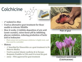 Colchicine
• 1st isolated in 1820
• Used as alternative gout treatment for those
unable to tolerate NSAIDs
• How it works: it inhibits deposition of uric acid
(urate crystals), raises tissue pH by inhibiting
glucose oxidation, reducing production of lactic
acid in leukocytes
• Plant extract not used because colchicine is highly toxic, and
dose must be controlled
• History
▫ 1st described by Dioscorides as a gout treatment in De
Materia Medica
▫ Used in ancient Islamic medicine & in Europe;
Benjamin Franklin in USA used it to treat his gout
▫ 2009 – FDA approved for gout treatment Colchicum autumnale
(Colchicaceae)
Pain of gout
 