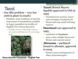 • One BIG problem – very low
yield in plant (0.004%)
▫ Solution: semi-synthesis of taxol by
conversion of metabolites available
in larger quantities in needles of
English Yew (Taxus baccata)
 Needles were a renewable source –
no need to kill the tree by removing
bark
• Taxol (Bristol Meyers
Squibb) approved in USA in
1993
▫ Treatment for ovarian cancer
and secondary treatment for
breast and non-small cell lung
cancers
• Docetaxel was approved in
1995
▫ marketed as Taxotere
▫ more water soluble than taxol
Breast and ovarian cancer
• Abraxane – paclitaxel
bound to albumin, approved
in 2005
▫ Breast cancer unresponsive to
other chemotherapies
Taxus baccata (Taxaceae) – English Yew
Taxol
 