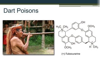 (+)-Tubocurarine
Dart Poisons
 