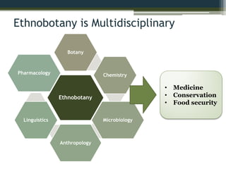 Ethnobotany is Multidisciplinary
Ethnobotany
Botany
Chemistry
Microbiology
Anthropology
Linguistics
Pharmacology
• Medicine
• Conservation
• Food security
 