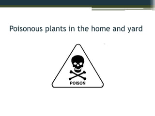 Poisonous plants in the home and yard
 