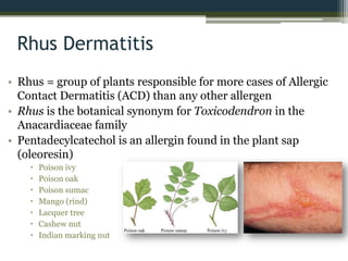 Rhus Dermatitis
• Rhus = group of plants responsible for more cases of Allergic
Contact Dermatitis (ACD) than any other allergen
• Rhus is the botanical synonym for Toxicodendron in the
Anacardiaceae family
• Pentadecylcatechol is an allergin found in the plant sap
(oleoresin)
 Poison ivy
 Poison oak
 Poison sumac
 Mango (rind)
 Lacquer tree
 Cashew nut
 Indian marking nut
 