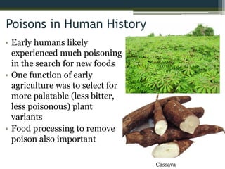 Poisons in Human History
• Early humans likely
experienced much poisoning
in the search for new foods
• One function of early
agriculture was to select for
more palatable (less bitter,
less poisonous) plant
variants
• Food processing to remove
poison also important
Cassava
 