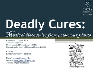 Deadly Cures:
Medical discoveries from poisonous plants
Cassandra L. Quave, Ph.D.
Assistant Professor
Department of Dermatology (SOM)
Center for the Study of Human Health (ECAS)
Curator
Emory University Herbarium
E-mail: cquave@emory.edu
Website: http://etnobotanica.us/
Twitter: @QuaveEthnobot
Deadly Nightshade
 
