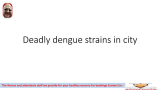 Deadly dengue strains in city
The Nurses and attendants staff we provide for your healthy recovery for bookings Contact Us:-
 