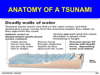 ANATOMY OF A TSUNAMI
 