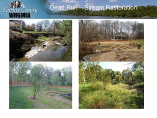 Dead Run – Stream Restoration
 