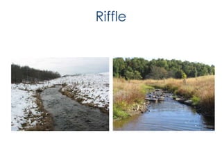 Riffle
 