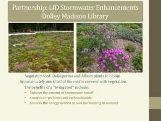 Approximately one third of the roof is covered with vegetation.
The benefits of a “living roof” include:
• Reduces the amount of stormwater runoff
• Absorbs air pollution and carbon dioxide
• Reduces the energy needed to cool the building in summer
Partnership:LIDStormwaterEnhancements
Dolley MadisonLibrary
Vegetated Roof- Delosperma and Allium plants in bloom
 