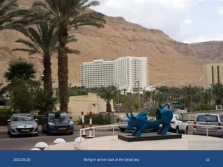 2012.03.20. Being in winter coat at the Dead Sea 12 
 