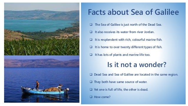 Fish facts
