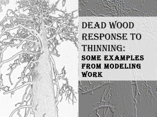 Dead Wood  Response to thinning: Some examples from modeling work 