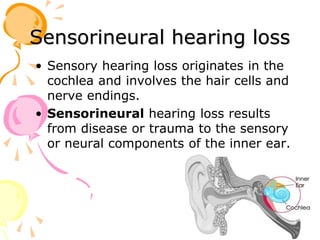 Sensorineural hearing loss
• Sensory hearing loss originates in the
cochlea and involves the hair cells and
nerve endings.
• Sensorineural hearing loss results
from disease or trauma to the sensory
or neural components of the inner ear.
 