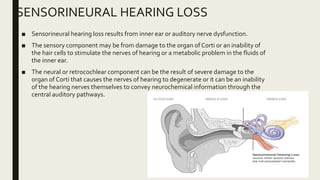 SENSORINEURAL HEARING LOSS
■ Sensorineural hearing loss results from inner ear or auditory nerve dysfunction.
■ The sensory component may be from damage to the organ of Corti or an inability of
the hair cells to stimulate the nerves of hearing or a metabolic problem in the fluids of
the inner ear.
■ The neural or retrocochlear component can be the result of severe damage to the
organ of Corti that causes the nerves of hearing to degenerate or it can be an inability
of the hearing nerves themselves to convey neurochemical information through the
central auditory pathways.
 