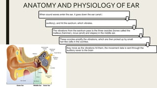 ANATOMY AND PHYSIOLOGY OF EAR
When sound waves enter the ear, it goes down the ear canal (
auditory), and hit the eardrum, which vibrates.
The vibrations from the eardrum pass to the three ossicles (bones called the
malleus (hammer), incus (anvil) and stapes) in the middle ear.
These occicles amplify the vibrations, which are then picked up by small
hair-like cells in the cochlea;
they move as the vibrations hit them, the movement data is sent through the
auditory never to the brain
 