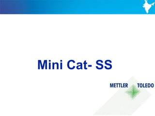 Mini Cat- SS


               30
 