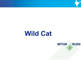 Wild Cat


           47
 