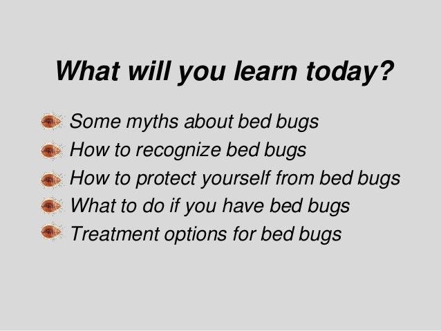 Dealing w bed bugs