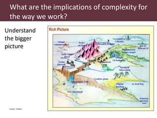 Dealing with complexity and uncertainty in natural resource management and other wicked problems’ initiatives