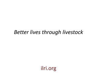 Dealing with complexity and uncertainty in natural resource management and other wicked problems’ initiatives