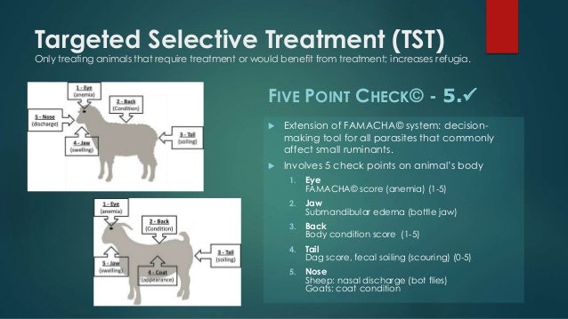 example helm chart in anthelmintic resistance Dealing ruminants with small example helm chart in anthelmintic resistance Dealing ruminants with small