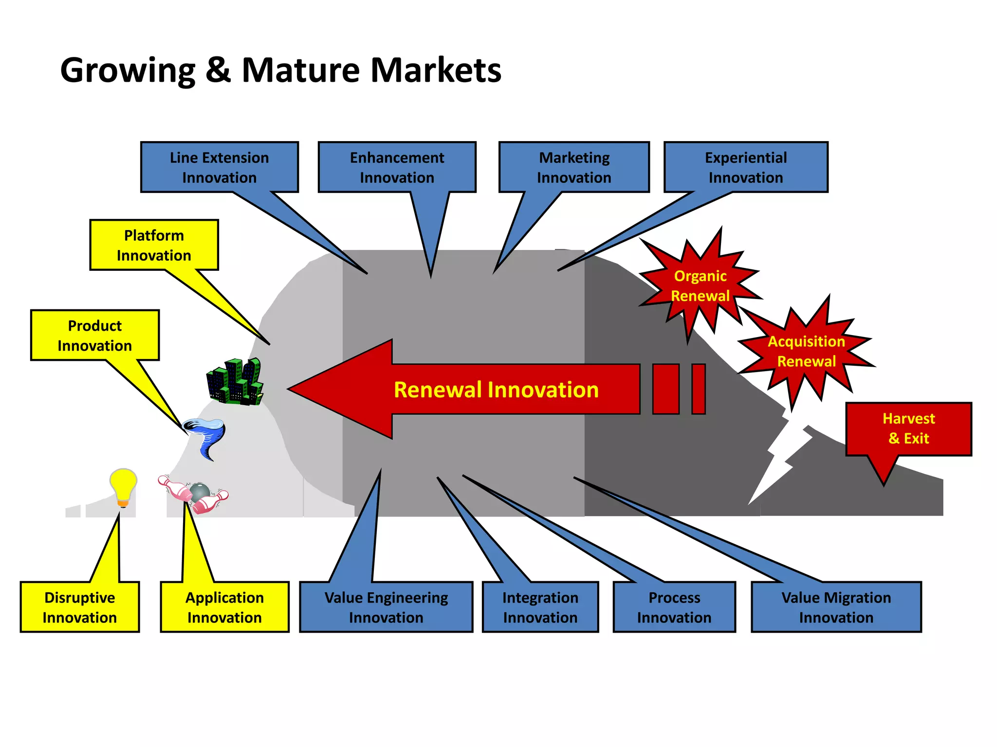 Growing & Mature Markets
Disruptive
Innovation
Application
Innovation
Product
Innovation
Platform
Innovation
Enhancement
Innovation
Integration
Innovation
Experiential
Innovation
Process
Innovation
Marketing
Innovation
Value Migration
Innovation
Line Extension
Innovation
Value Engineering
Innovation
Harvest
& Exit
Renewal Innovation
Organic
Renewal
Acquisition
Renewal
 