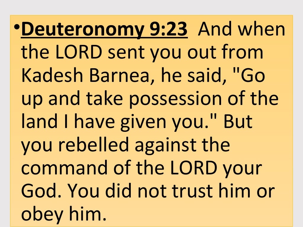 Dealing With Disobedience To God Seriously