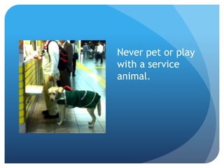 Never pet or play 
with a service 
animal. 
 