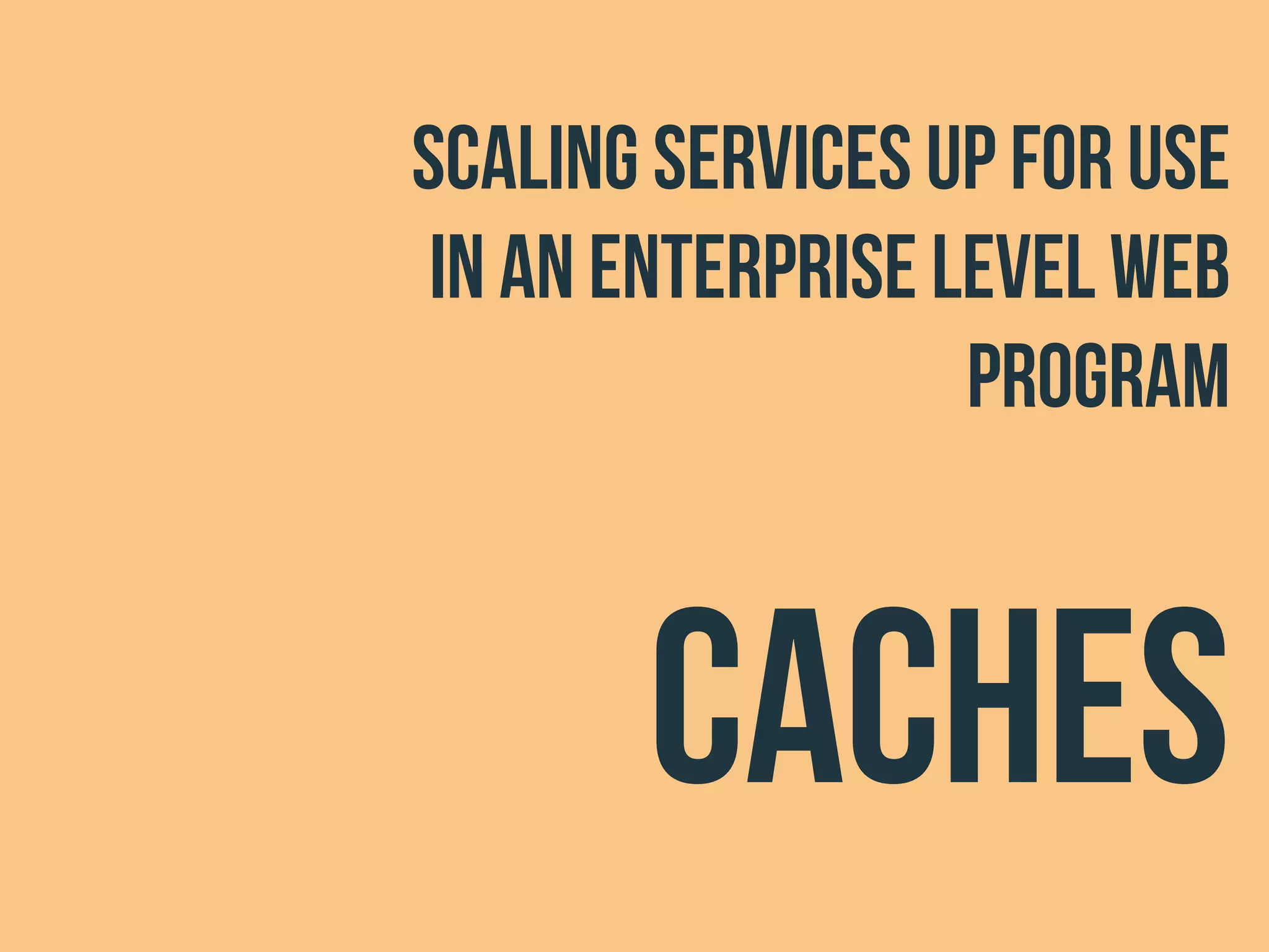 scaling services up for use
in an enterprise level web
program
Caches
 