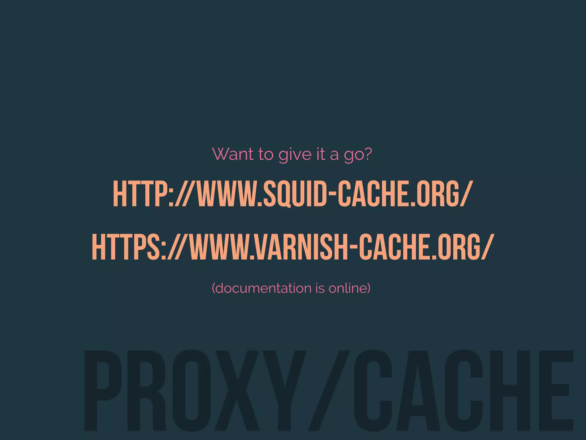 Want to give it a go?
http://www.squid-cache.org/
https://www.varnish-cache.org/
(documentation is online)
proxy/cache
 