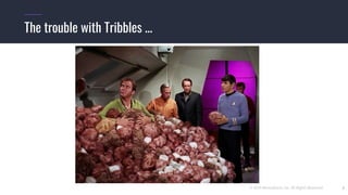 © 2019 Mesosphere, Inc. All Rights Reserved. 3
The trouble with Tribbles ...
 