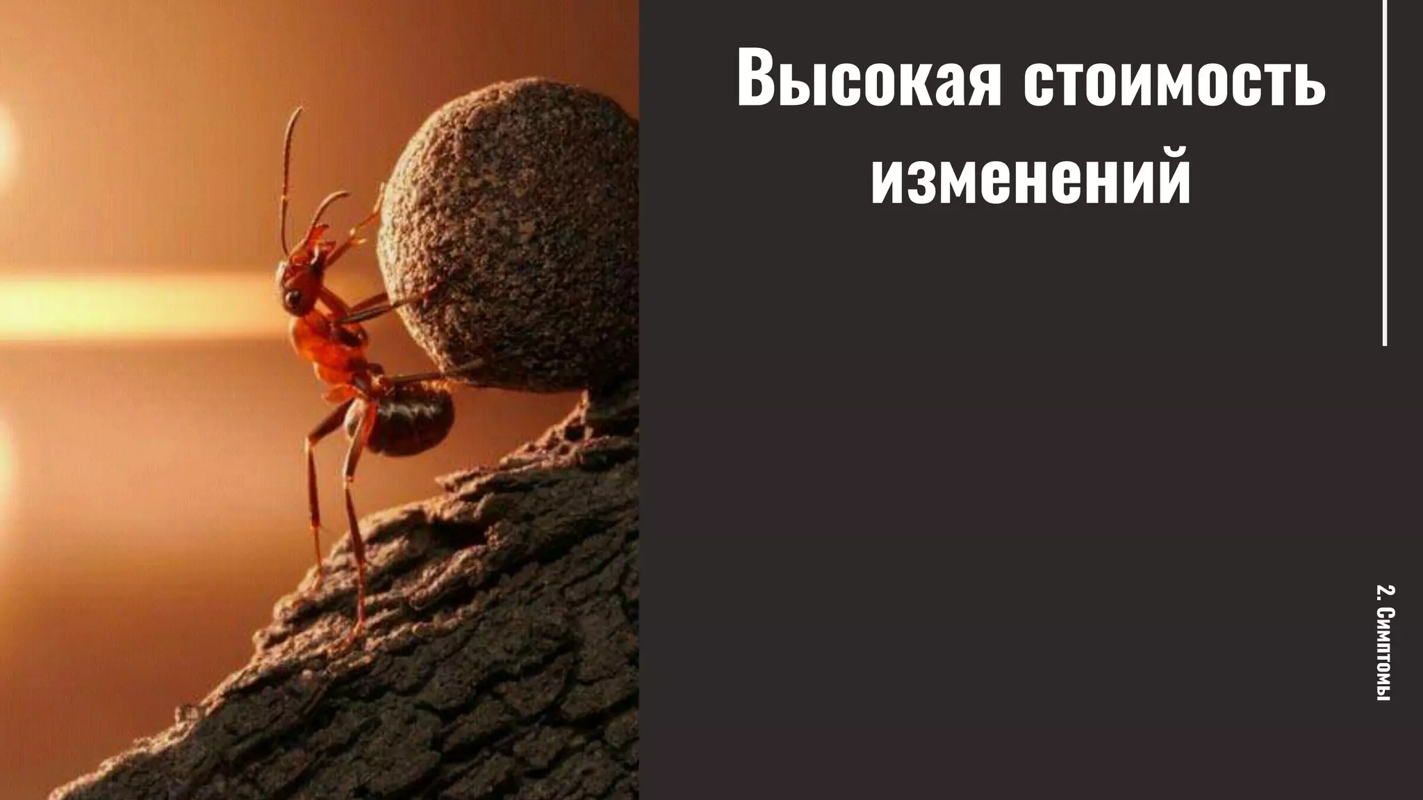 Высокая стоимость
изменений
2.Симптомы
 